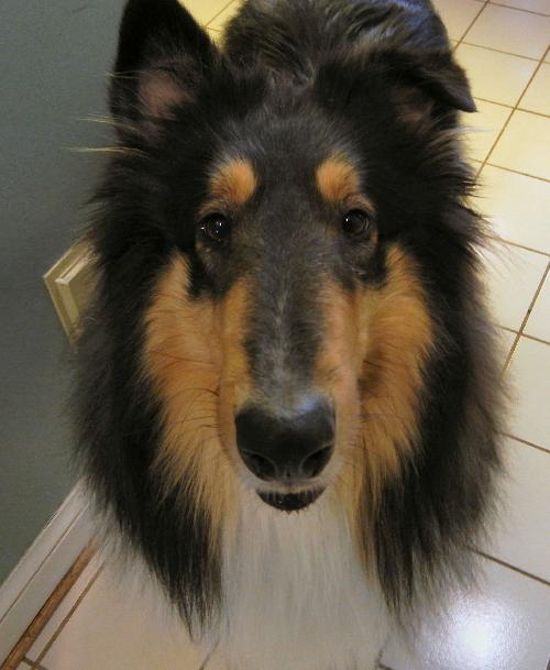 Quincy - photo 3