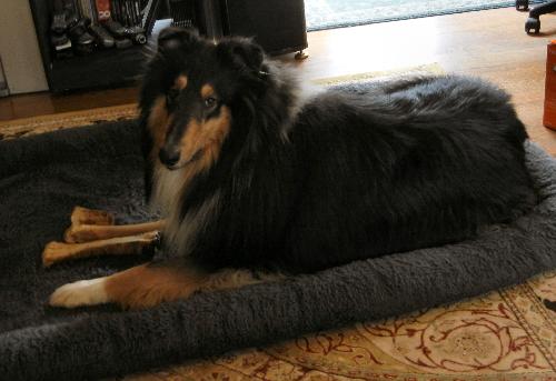 Quincy - photo 4