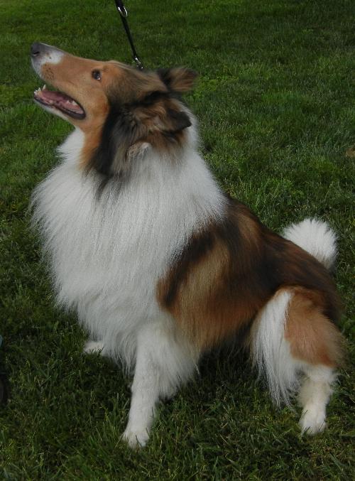 Max - photo 3