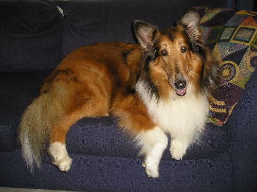 Miss Zoey - photo 2