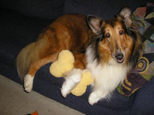 Miss Zoey - photo 3