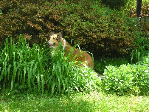 Miss Zoey - photo 4