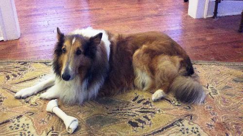 Tess - photo 2