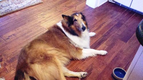 Tess - photo 3