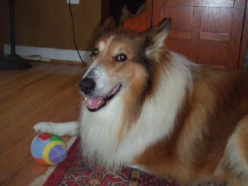Tucker - photo 3