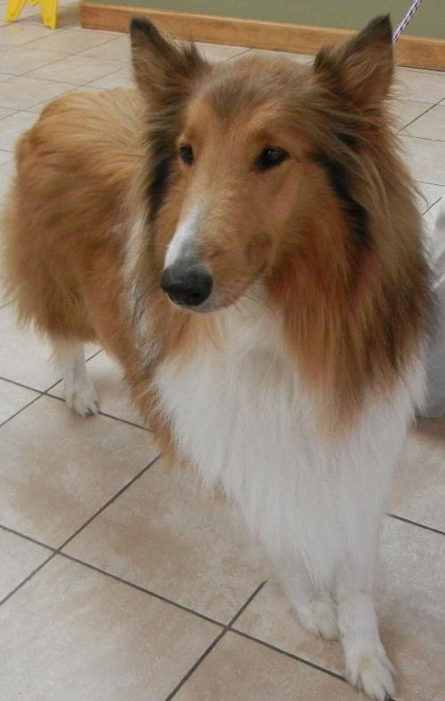 Troy - photo 3