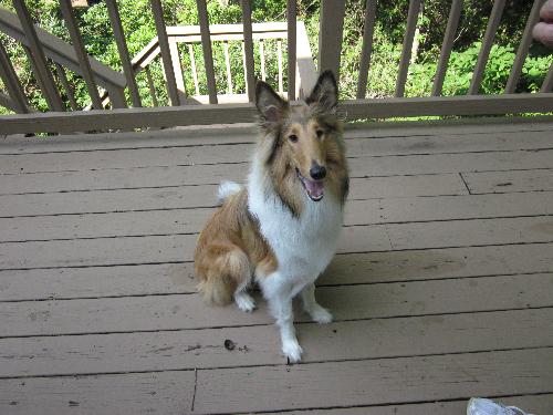 Jaime - photo 2