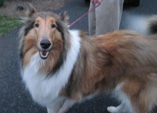 Brian - photo 2