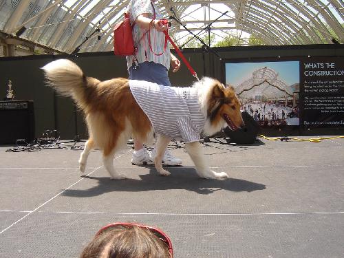 Brian - photo 3