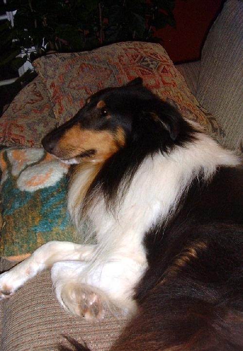 Gabe - photo 3