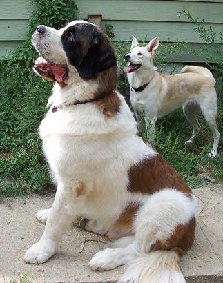 Beauregard - photo 2