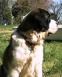 Beauregard - photo 3