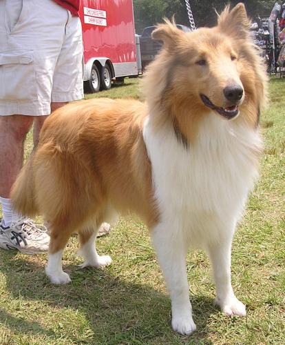 Gryphn - photo 3