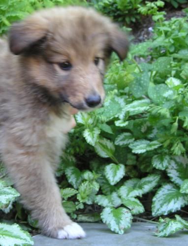Bev - photo 3