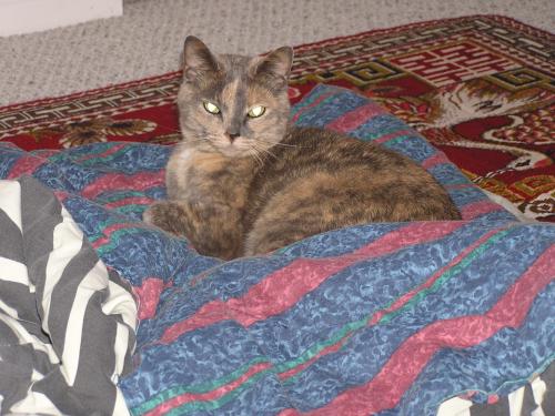 Mia - photo 2
