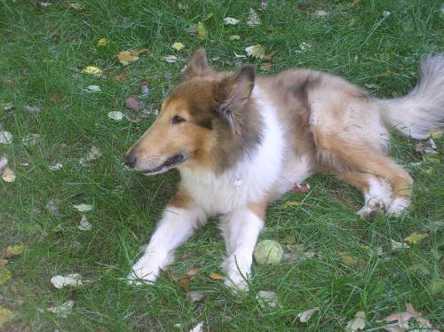 Ripley - photo 2