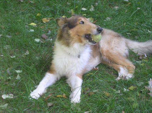Ripley - photo 3