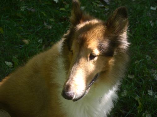 Ripley - photo 4