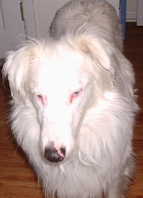 Jack #3 - photo 2