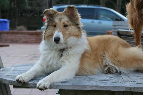 Austin - photo 2