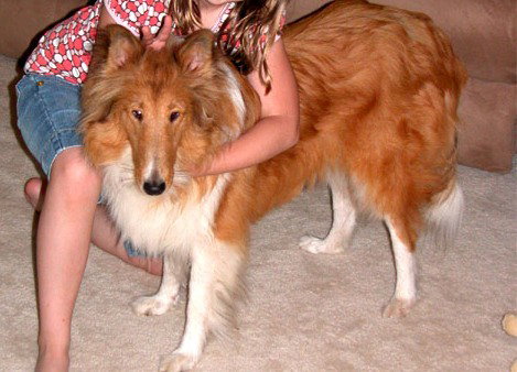 Lexy - photo 2