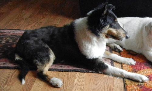 Wilbur - photo 3