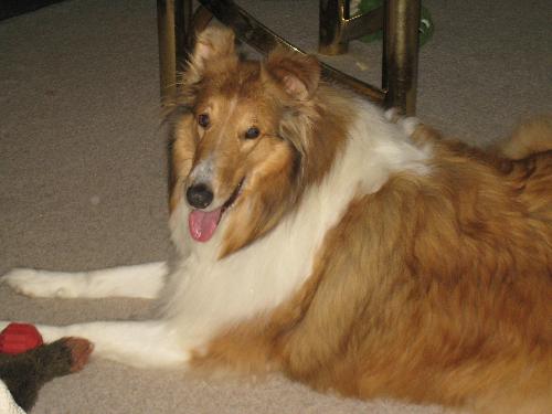 Star - photo 3
