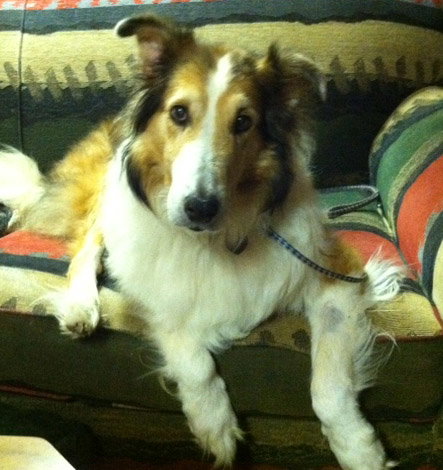 Murray - photo 3