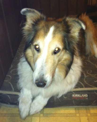 Murray - photo 4