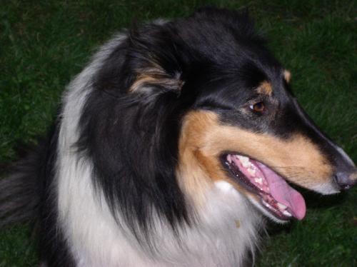 Emmie - photo 2