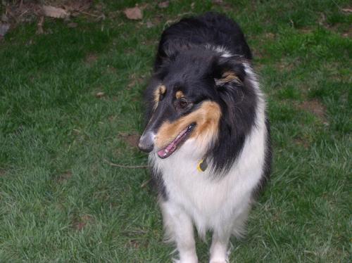 Emmie - photo 3