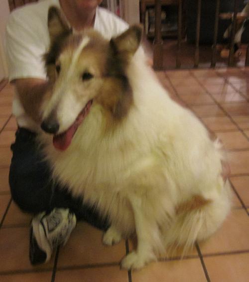 Colleen - photo 3