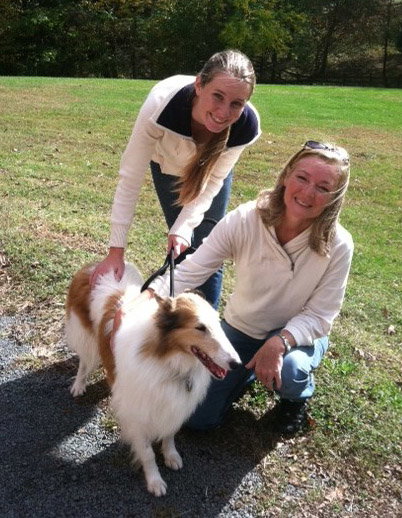 Colleen a Adult Female Collie (long coat) adopted through Collie Rescue