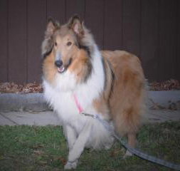 Tobi - photo 2