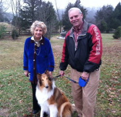 Tobi a Young Male Collie (long coat) adopted through Collie Rescue