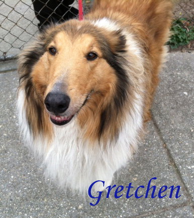 Gretchen - photo 2