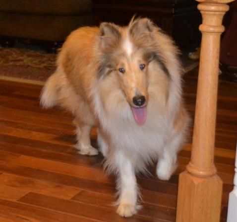 Clementine - photo 3