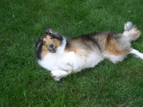 R2D2 - photo 3