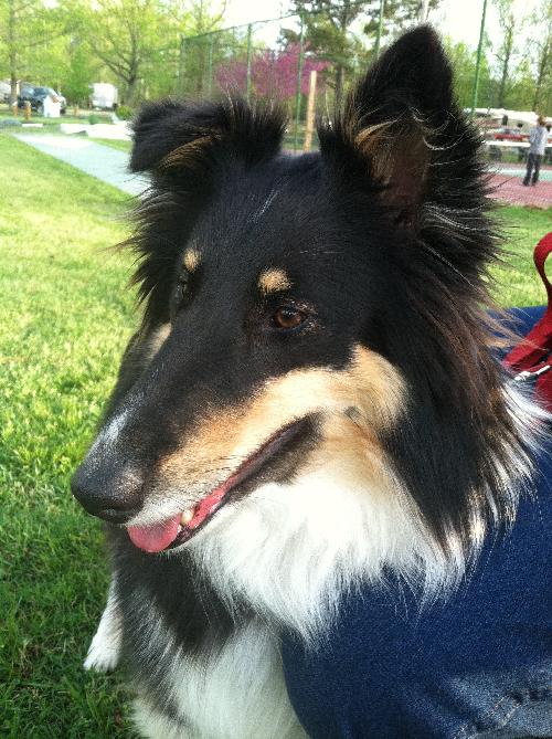 Izzy - photo 3