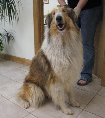 Bonnie - photo 2
