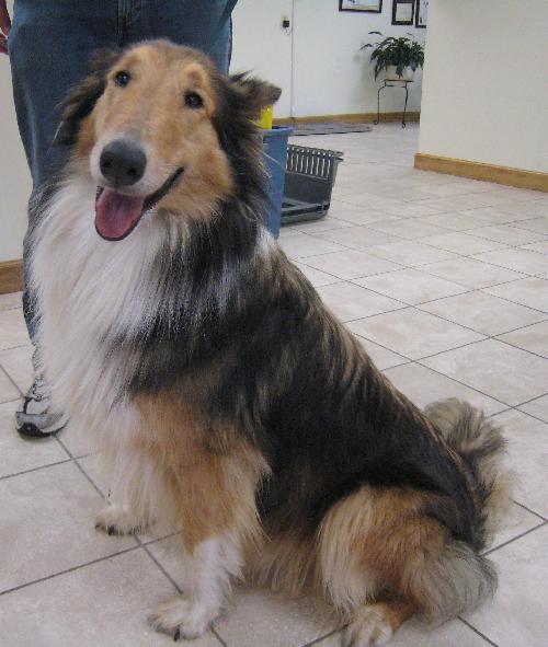 Maggie - photo 2