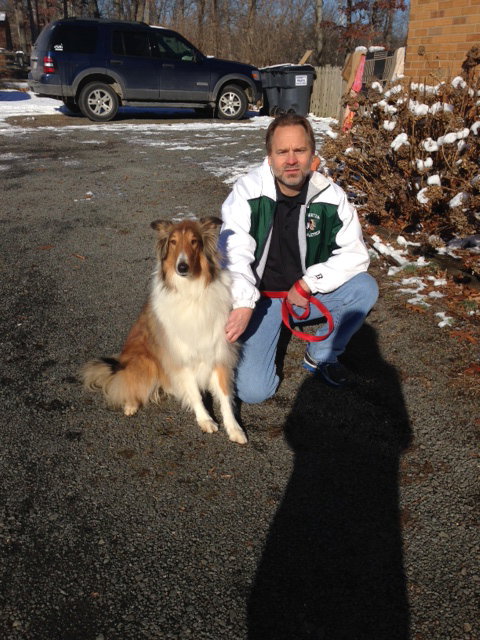 Shelby a Adult Male Collie (long coat) adopted through Collie Rescue