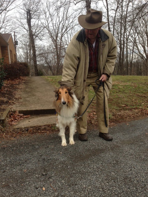 Boyd a Adult Male Collie (long coat) adopted through Collie Rescue