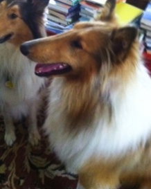Locksley - photo 2