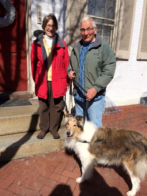 Lassie a Adult Female Collie (long coat) adopted through Collie Rescue