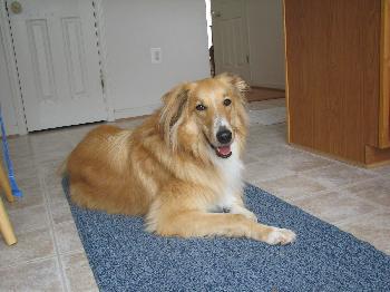Chance - photo 2