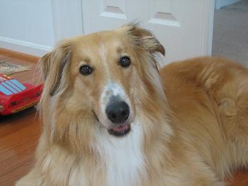Chance - photo 3