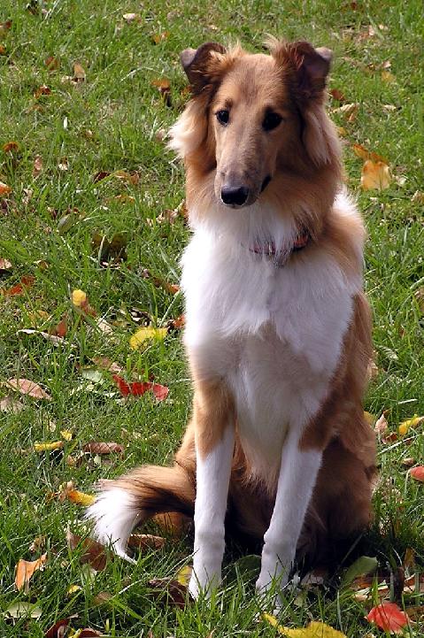 Winnie - photo 2