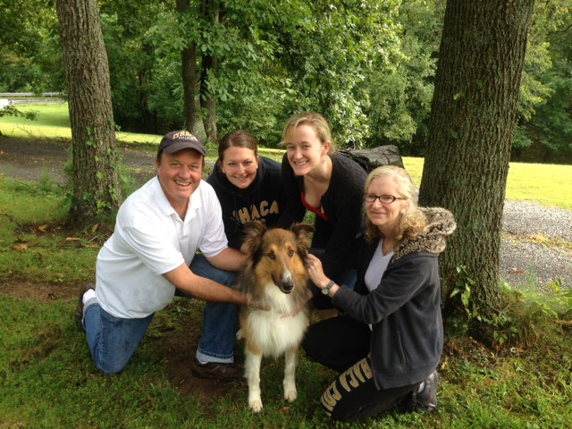 Terry a Adult Male Collie (long coat) adopted through Collie Rescue
