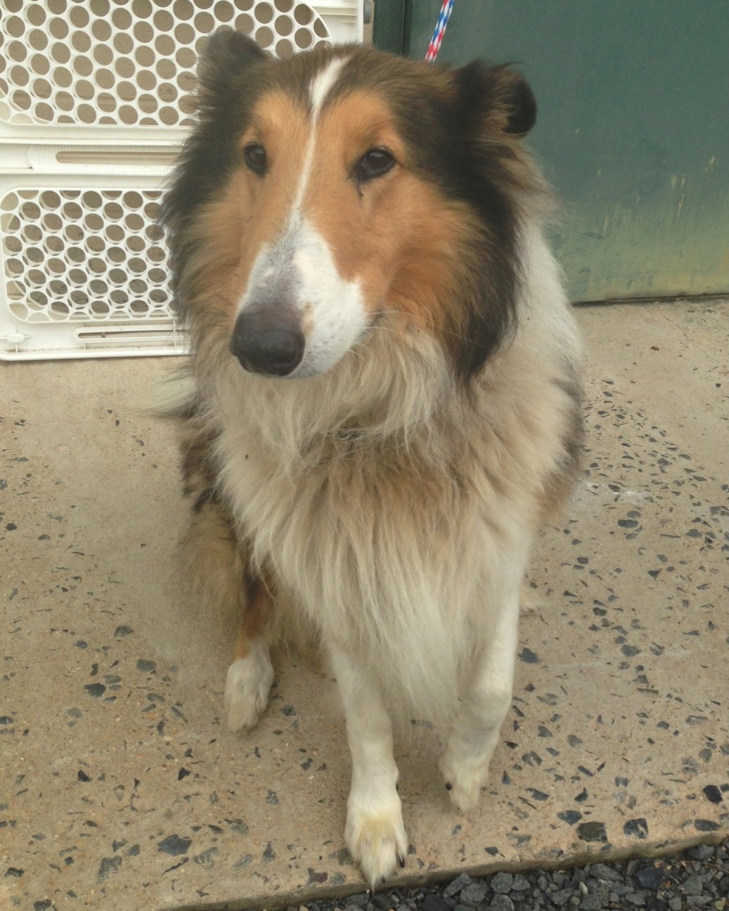 Kaden - photo 2